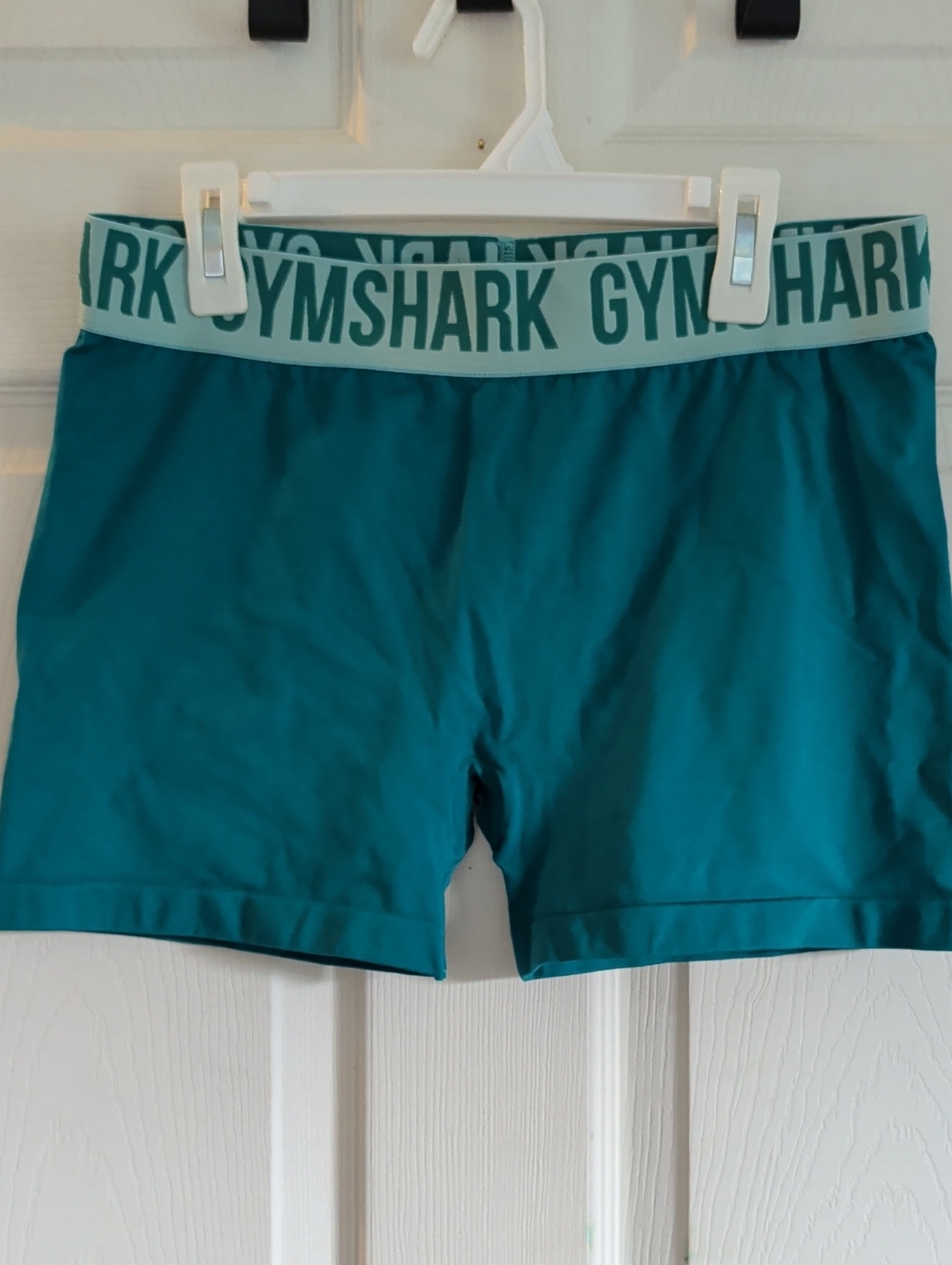 Gymshark Teal High-Rise Bike Shorts with Logo Waistband